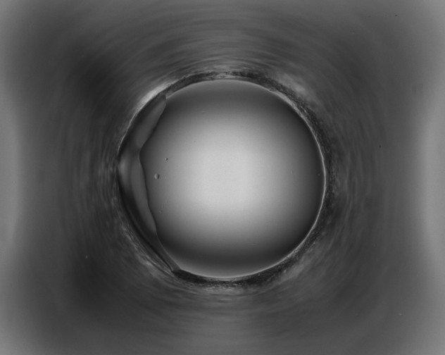 X0000087711073200705041054