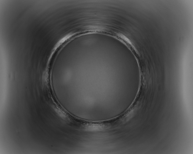 X0000087711074200705041054