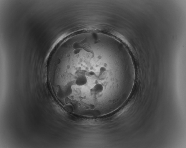 X0000087711075200705041054