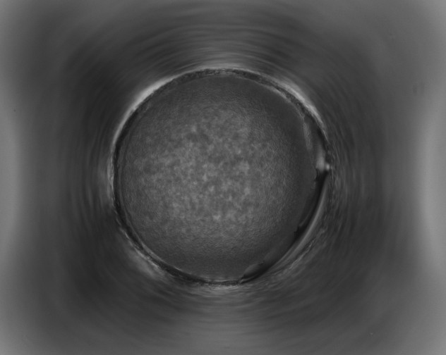 X0000087711076200705041054