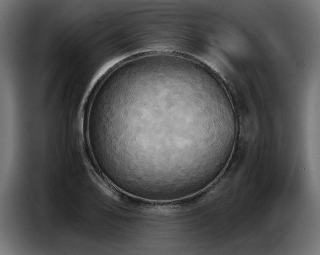 X0000087711078200705041054