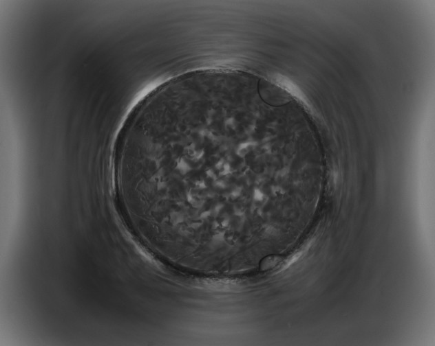 X0000087711079200705041054