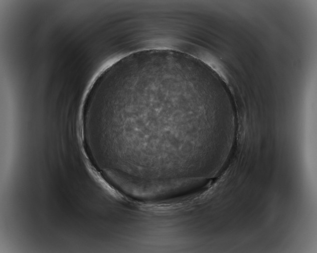 X0000087711080200705041054