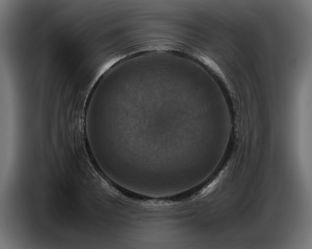 X0000087711081200705041054