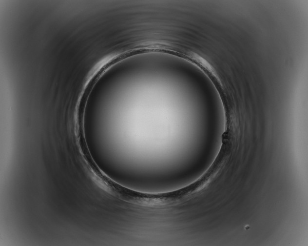 X0000087711082200705041054