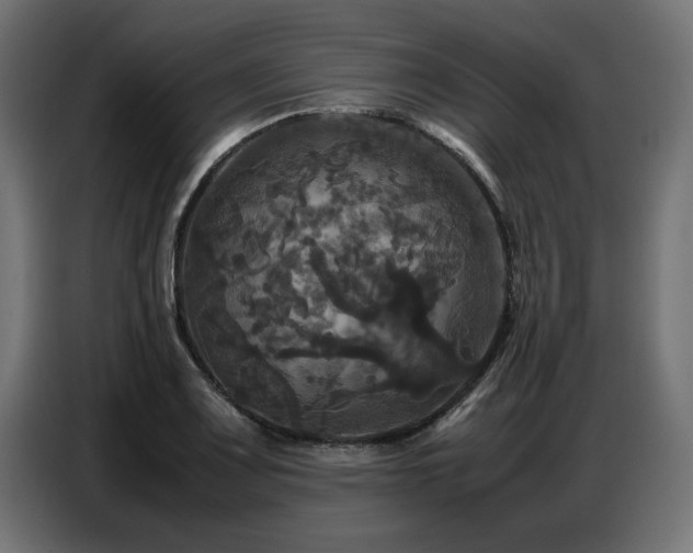 X0000087711083200705041054