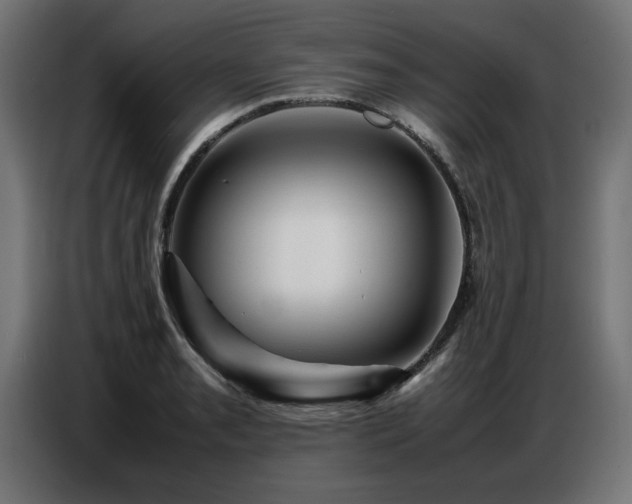 X0000087711085200705041054