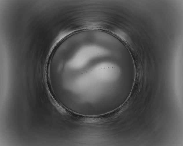X0000087711086200705041054