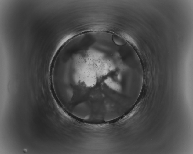 X0000087711087200705041054