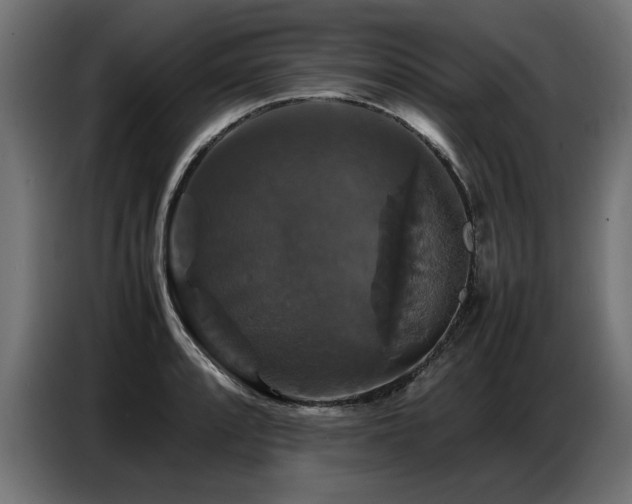 X0000087711088200705041054