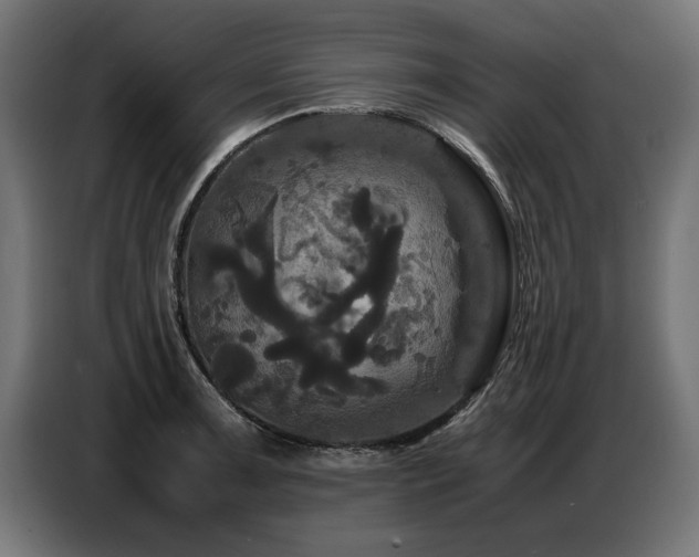 X0000087711091200705041054