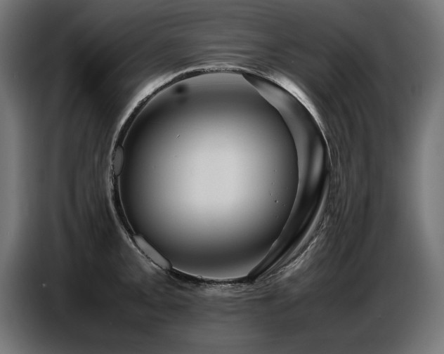 X0000087711093200705041054