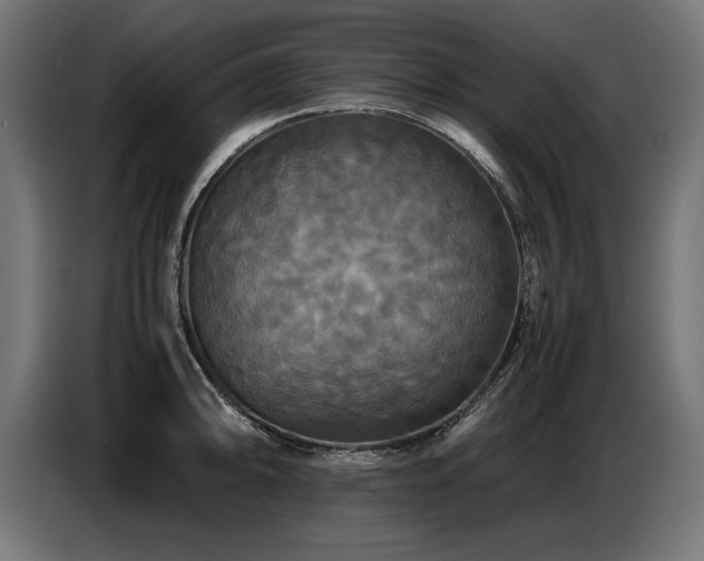X0000087711094200705041054
