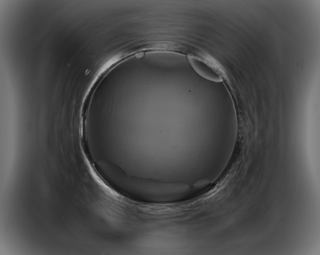 X0000087711095200705041054