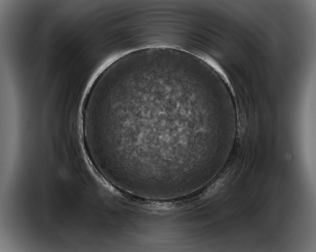 X0000087711096200705041054