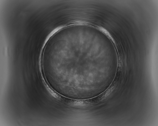 X0000087711098200705041054