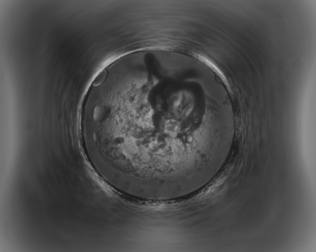 X0000087711099200705041054