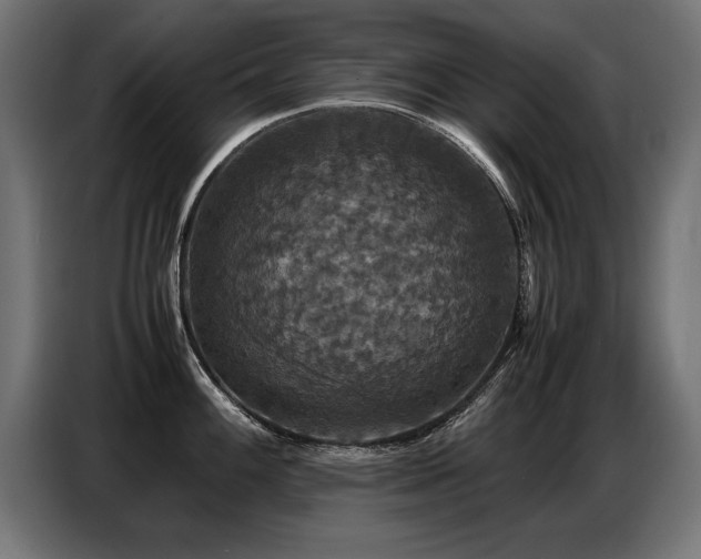 X0000087711100200705041054