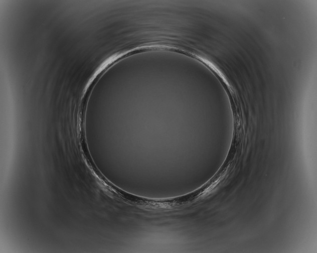 X0000087711101200705041054