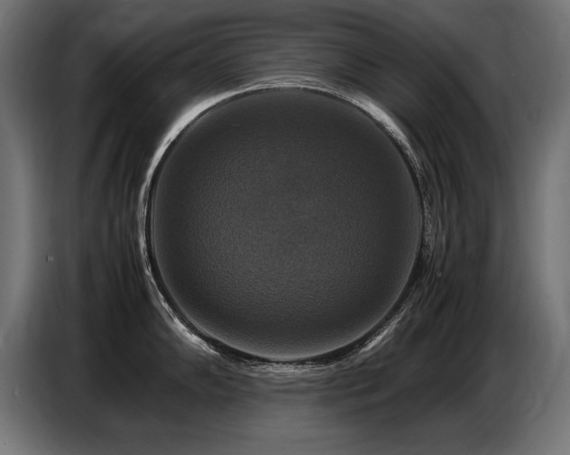 X0000087711102200705041054