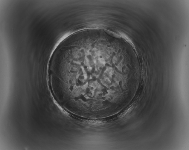 X0000087711103200705041054