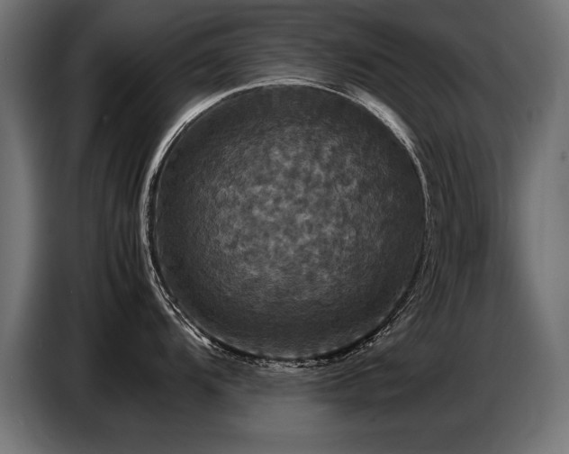 X0000087711104200705041054