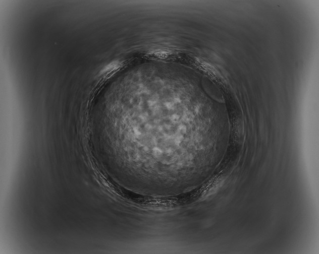 X0000087711105200705041053