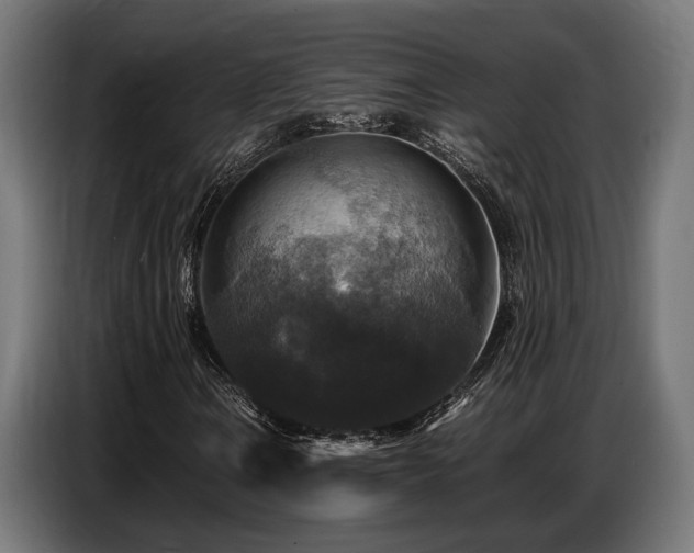 X0000087711106200705041053