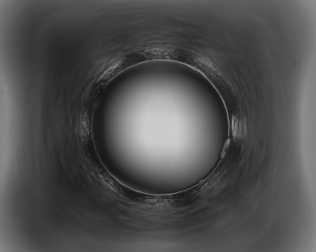 X0000087711107200705041053
