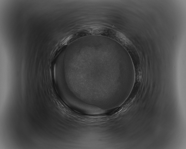 X0000087711108200705041053