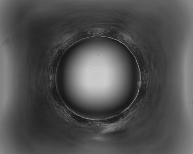 X0000087711109200705041053