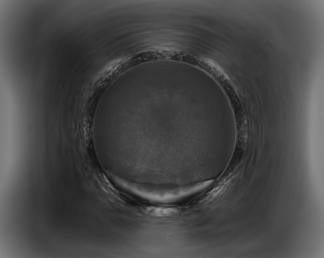 X0000087711110200705041053
