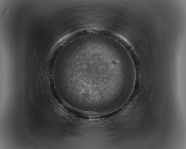 X0000087711112200705041053