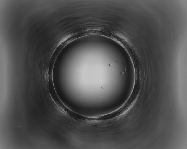 X0000087711113200705041053