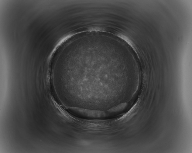 X0000087711115200705041053