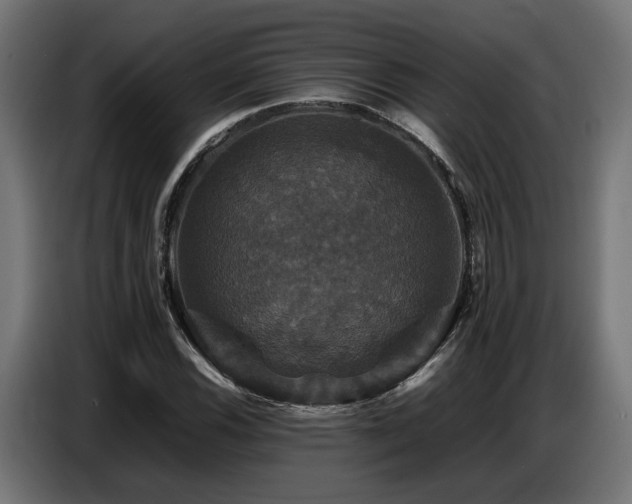X0000087711116200705041053