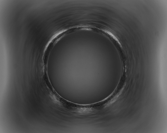 X0000087711117200705041053