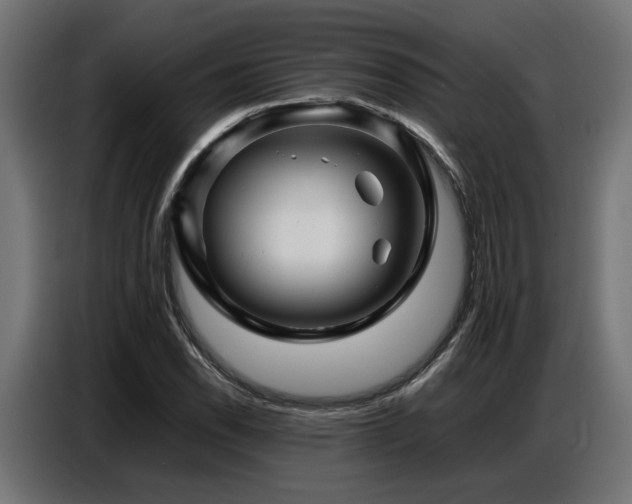 X0000087711118200705041053