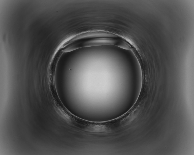 X0000087711119200705041053