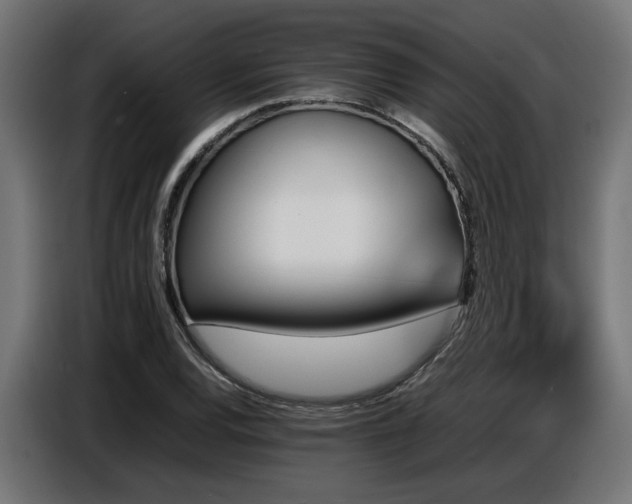 X0000087711120200705041053