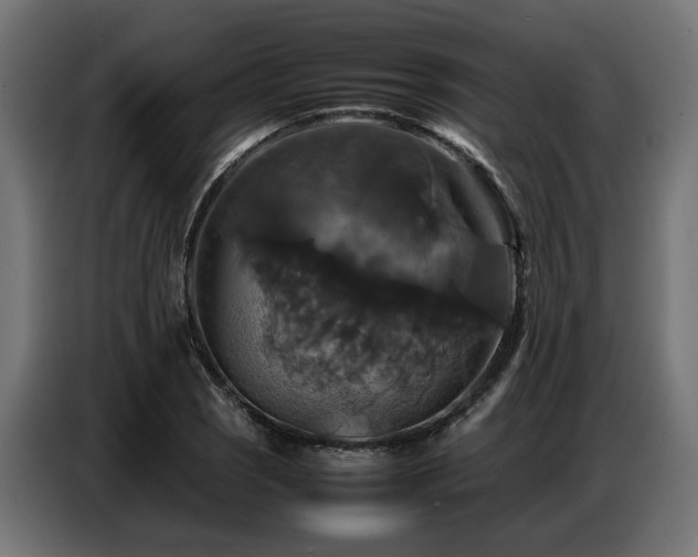 X0000087711121200705041053