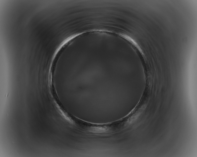 X0000087711125200705041053