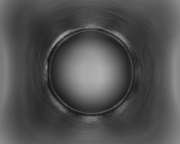 X0000087711126200705041053