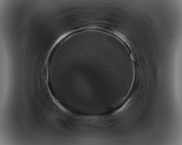 X0000087711127200705041053