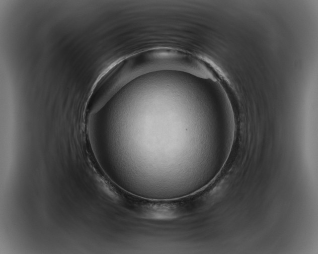 X0000087711129200705041053