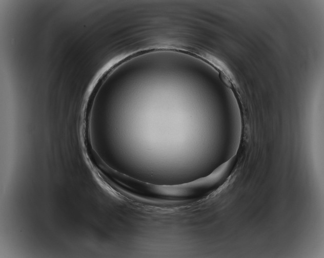 X0000087711136200705041053