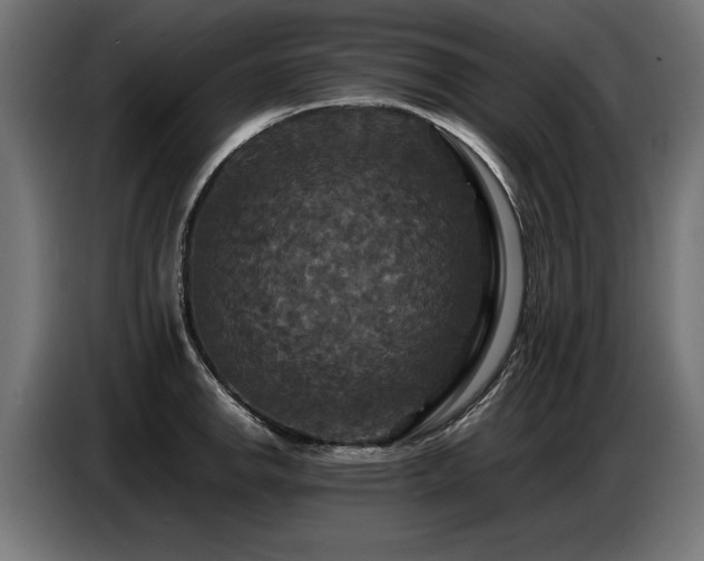 X0000087711142200705041053