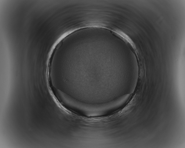 X0000087711144200705041054