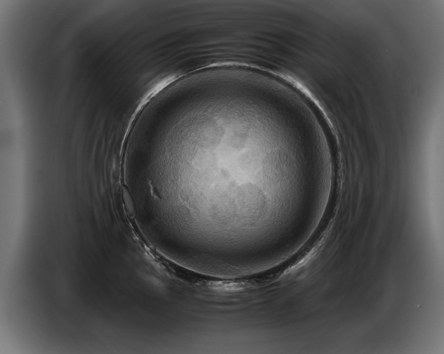 X0000087711145200705041054