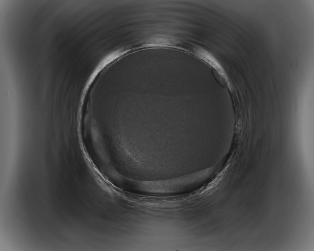 X0000087711146200705041054